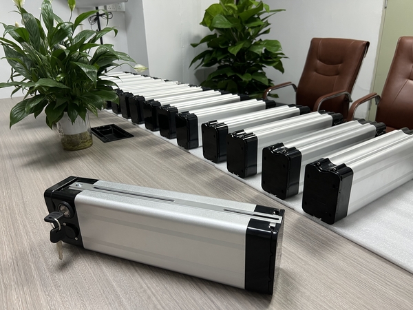 Silver Fish Electric Bicycle Battery